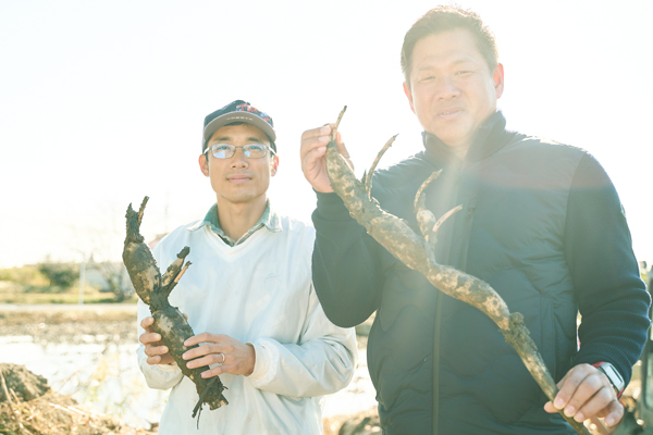 愛知県愛西市のレンコン農家と山崎武司が対談