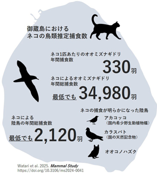 図1：研究の主要結果の概要