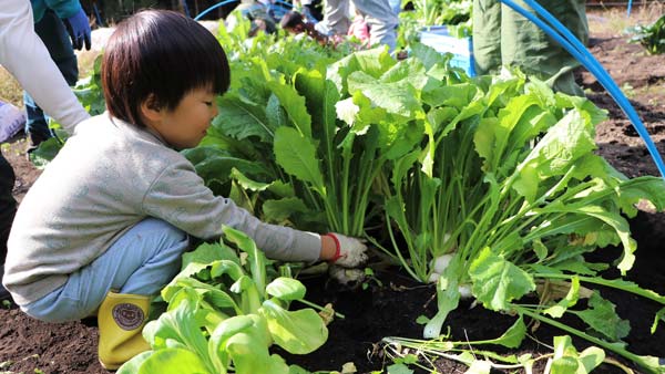 過去に開催したくらぶち草の会での体験会