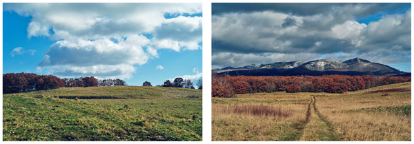 圃場開園の予定地（提供：日鉄興和不動産）