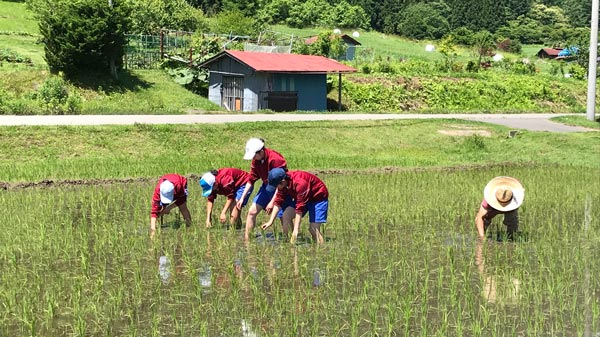 ポケットマルシェが「株式会社雨風太陽」に社名変更「親子向け地方留学事業」開始