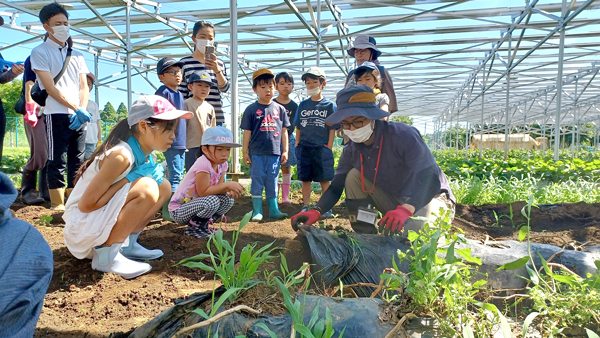 食育をテーマに親子で学ぶジャガイモ収穫体験イベント開催　千葉エコ・エネルギー