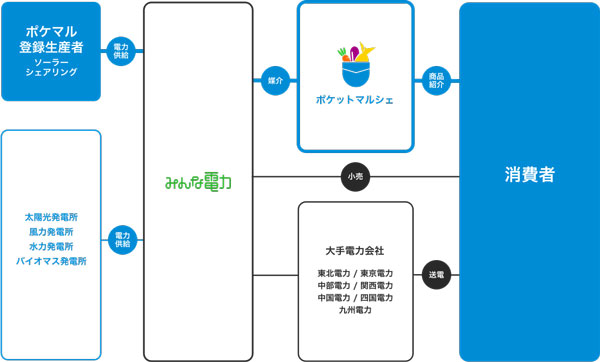 「ポケマルでんき」概要