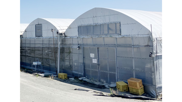 「業務用の八百屋」最大手が農業に新規参入　熊本に自社農場を開設　デリカフーズ.jpg