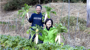 夏休みにおすすめ　農業体験・収穫体験ができる宿特集を公開「STAY JAPAN」