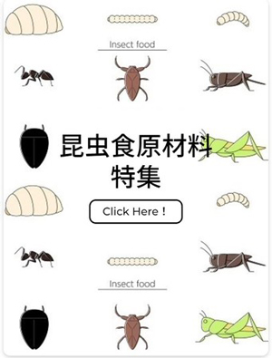 食品原料Webサービス「シェアシマ」昆虫食原料の特集ページを開設