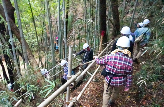 新卒者研修や職員有志、利用者などによる里山と竹林整備