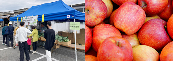 ＪＡいちかわ販売ブースと千葉大学「緑楽来」りんご