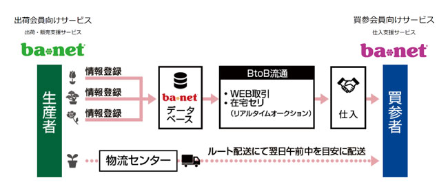 インターネット花市場「ba*net」花き生産者向けサービスをリニューアル　オークネットAG