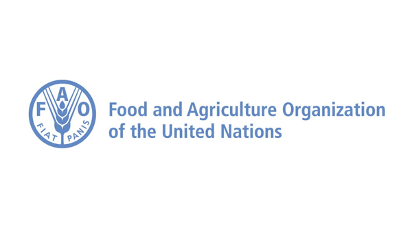 「世界の食料安全保障と栄養の現状：2025年報告」発表　FAO.jpg