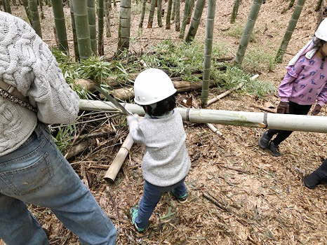 イベントに参加した子どもも竹林を整備