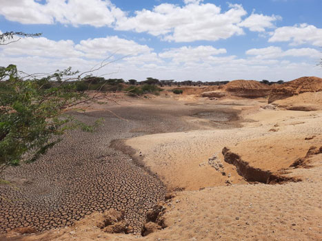 17億人が土地の劣化による収量減少を経験「世界食料農業白書」発表　FAO