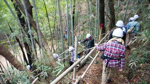 間伐を行う場所を見学