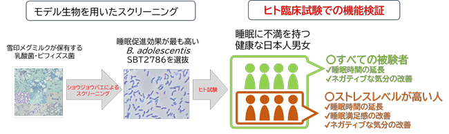 研究のポイント