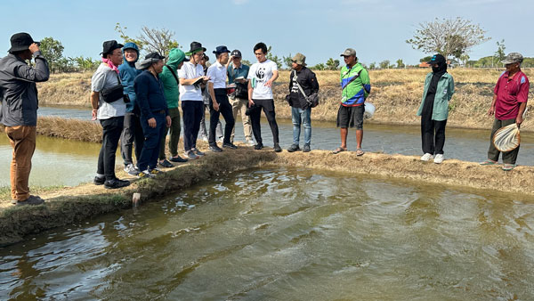 ミサヤミトラ社、日本生協連、WWFインドネシア、WWFジャパンのスタッフによる養殖現場の視察©WWF-Indonesia