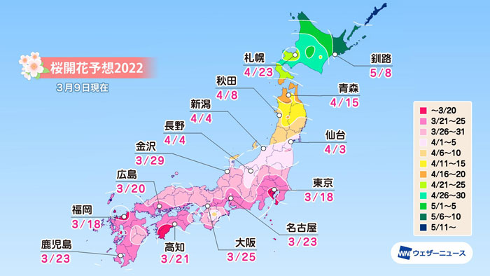 桜開花予想　3月18日に東京・福岡から　春の高温傾向で生長が加速　ウェザーニューズ
