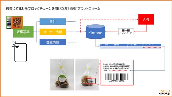 農業に特化したブロックチェーンプラットフォームを提供開始　TSUBU