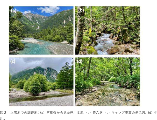 図2：上高地での調査地：（a）河童橋から見た梓川本流、（b）善六沢、（c）キャンプ場裏の無名沢、（d）中川。