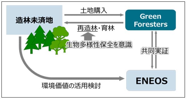 共同実証の概要