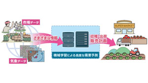 青果物の売上予測　無償サービス開始　豊橋技術科学大学×ファームシップ.jpg