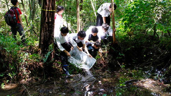 【大賞】子ども・学生部門の岐阜県立岐阜高等学校自然科学部生物班（岐阜県）