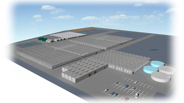 大規模農園の完成イメージ図