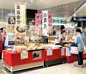 これまでの開催の様子