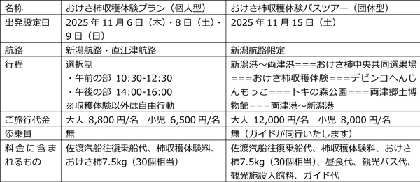 商品概要