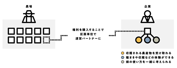 企業ニーズに合わせた畑の活用　オーダーメイドファーム開始　坂ノ途中×ファーマン