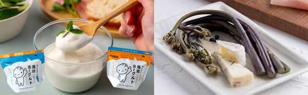 全国的人気の「プレミアム湯田ヨーグルト」と山菜として初めてGI登録された「西わらび」のピクルス