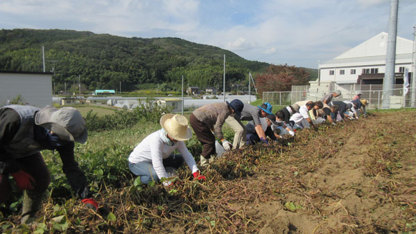 朝日里山学校での農業体験交流