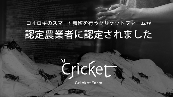 コオロギ養殖で長野県茅野市から認定農業者に　クリケットファーム