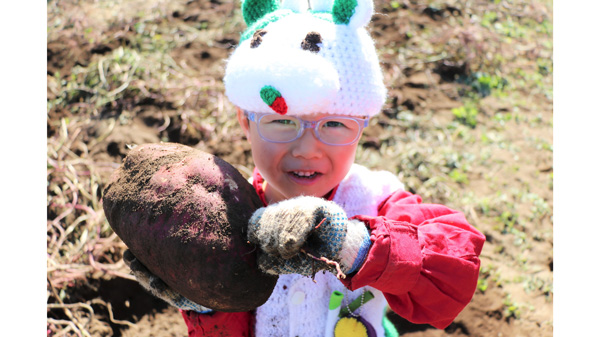 収穫体験のようす（2024年度）