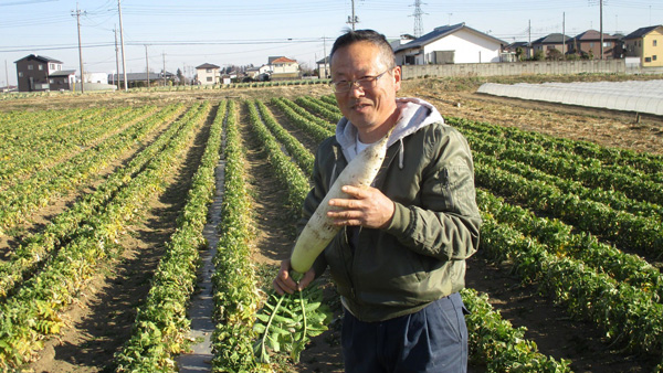 深谷大根を生産する吉田さん