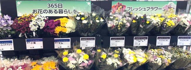 新鮮な切り花をお買い得価格で提供「花巻フレッシュマネジメントセンター」稼働　コメリ