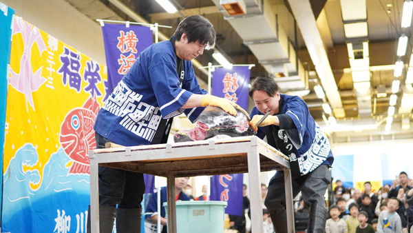 マグロの解体ショー
