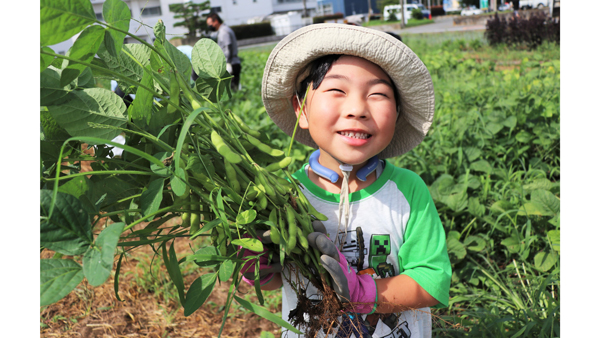 枝豆収穫体験（2024年度）
