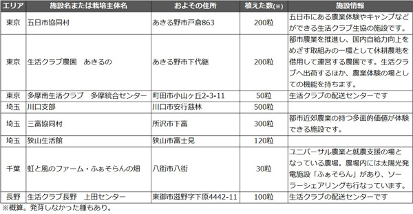 ひまわりの栽培場所