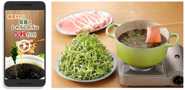 エバラ食品とコラボ　TikTokで「豆苗」と「なべしゃぶ」の動画配信　村上農園