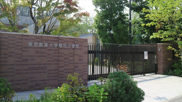 東京農業大学稲花小学校