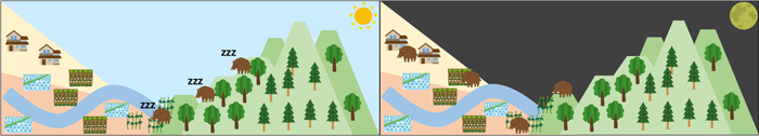 図2：イノシシが選択する利用環境のイメージ。日中（左図）は休息時、夜間（右図）は活動時を示す