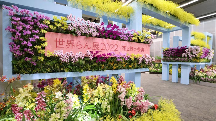 「世界らん展2022‐花と緑の祭典‐」31日まで開催中　「日本大賞」も決定