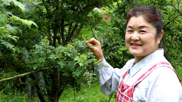 山椒の人気生産者・上田ひと美さん