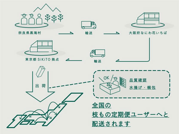 取り組みの流れ
