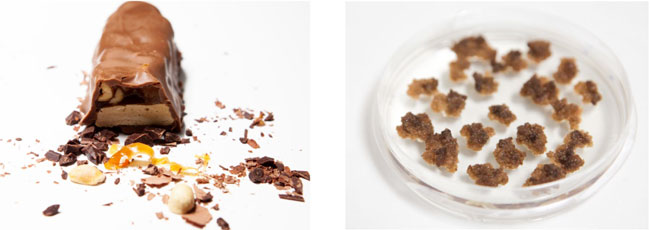 世界初の細胞培養チョコレートバー・間もなくチョコレートになるカカオ細胞