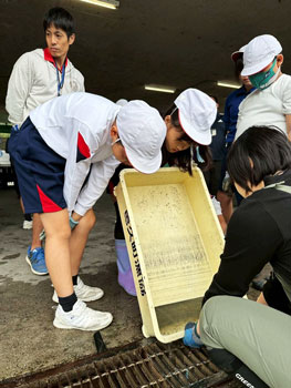 地元小学生とアマモ再生活動を体験