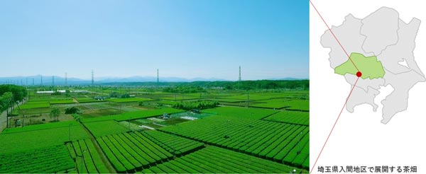 埼玉県入間地区で