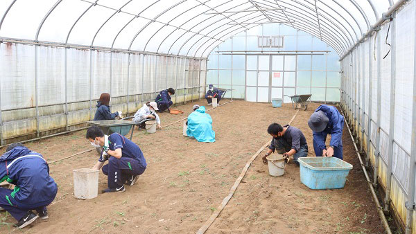 研修参加職員による草取り