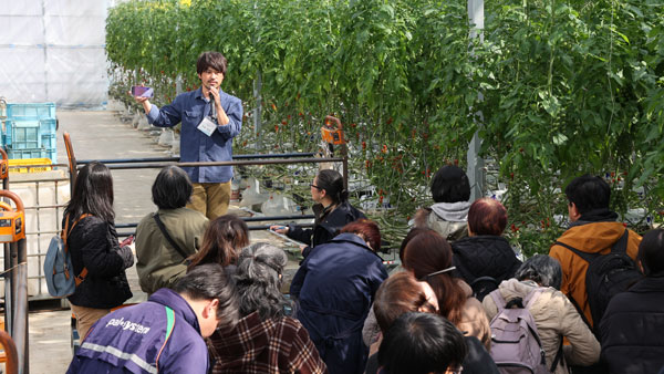 通常の2～3mより高いハウス内でミニトマト栽培の詳細を説明する斉藤さん