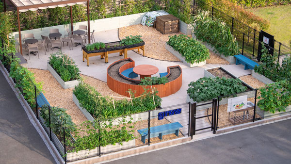 共同研究の実験フィールドとなる都市型スマート農園「タニタふれあい農園」